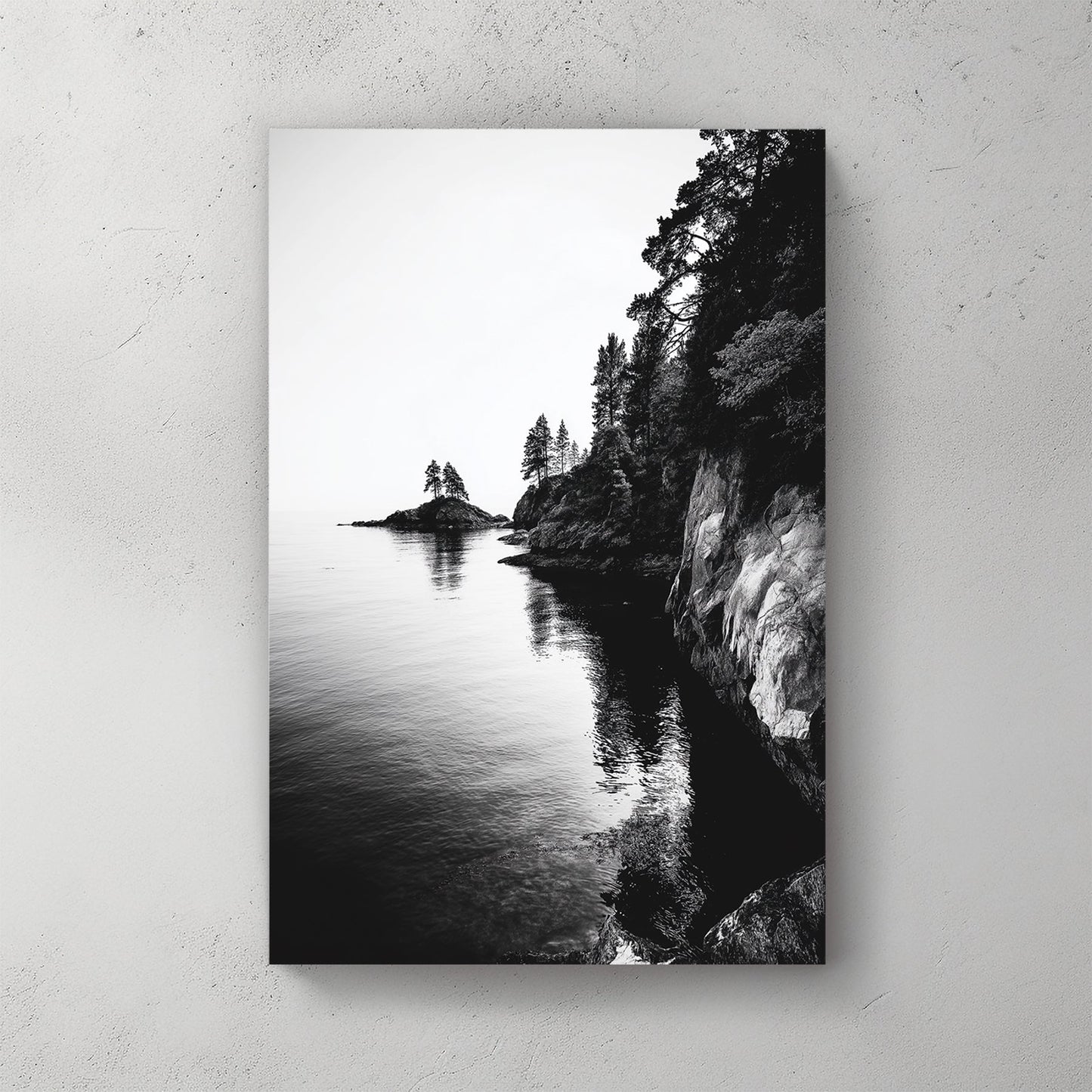 black and white rocky coastline with trees and ocean reflections