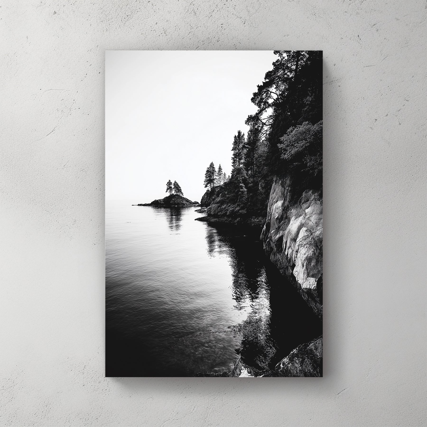 black and white rocky coastline with trees and ocean reflections