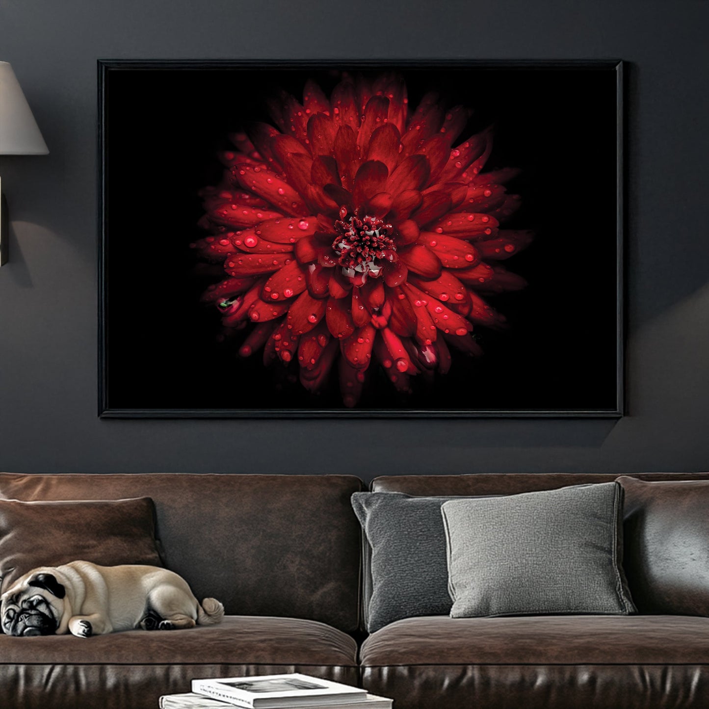 Close-up of red chrysanthemum flower with water droplets on petals against black background