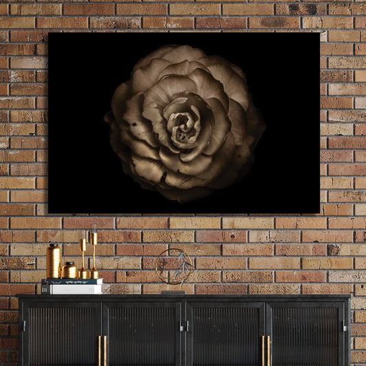 Sepia-toned close-up of a rose-like flower with curled petals on black background
