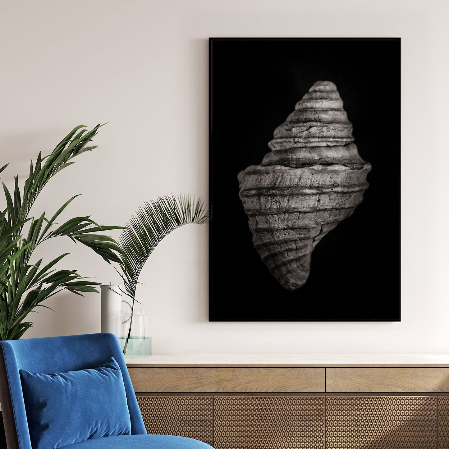 black and white photo of spiral seashell with textured detail