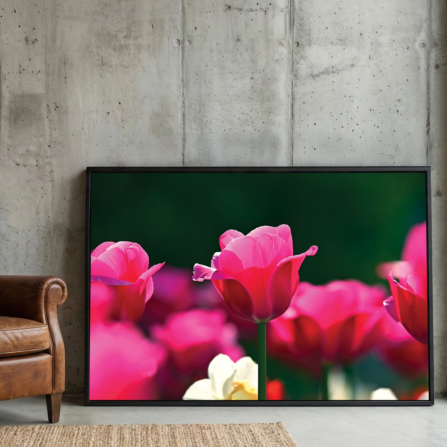 Pink Tulips Garden framed canvas wall art print in a gallery-style display