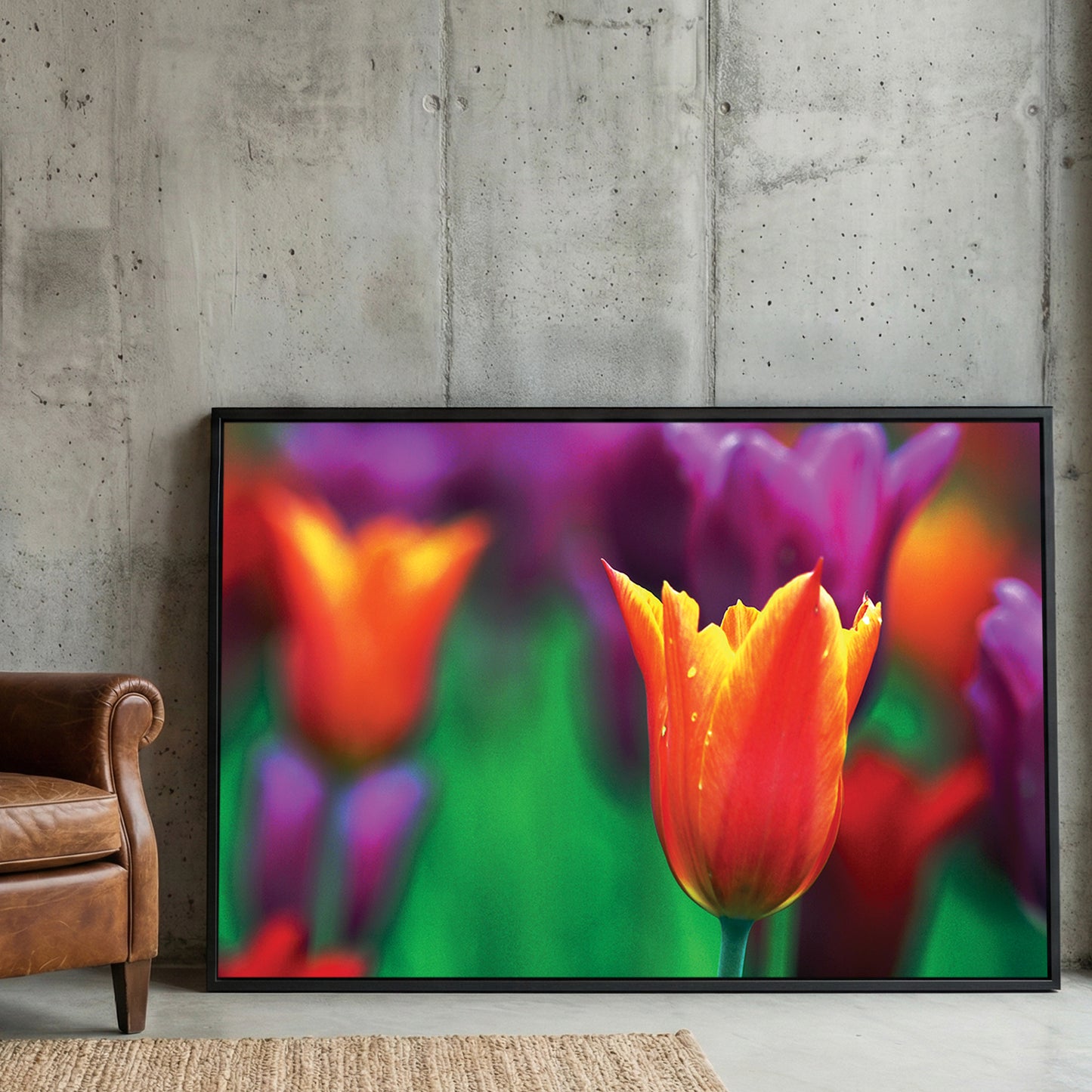 Orange Tulip Purple Bloom framed canvas wall art print in a gallery-style display