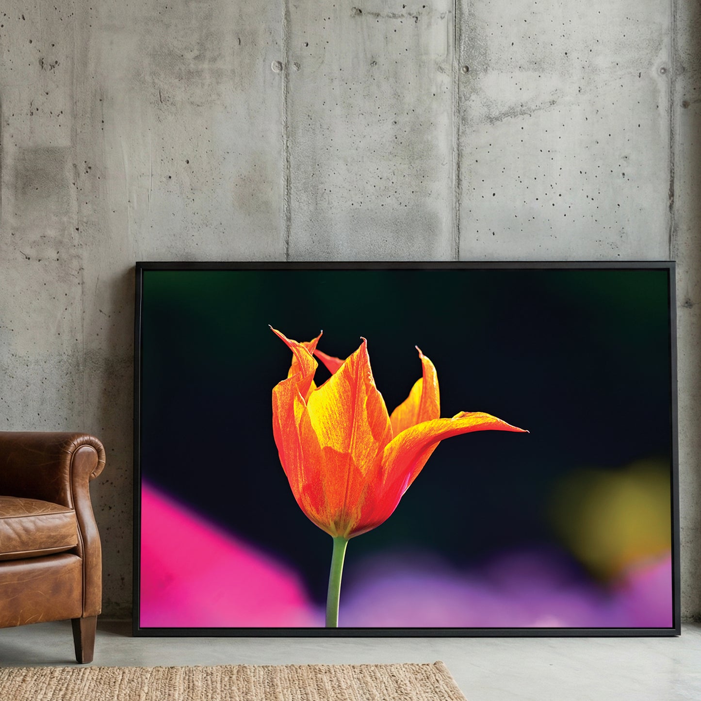 Orange Tulip Garden framed canvas wall art print in a gallery-style display