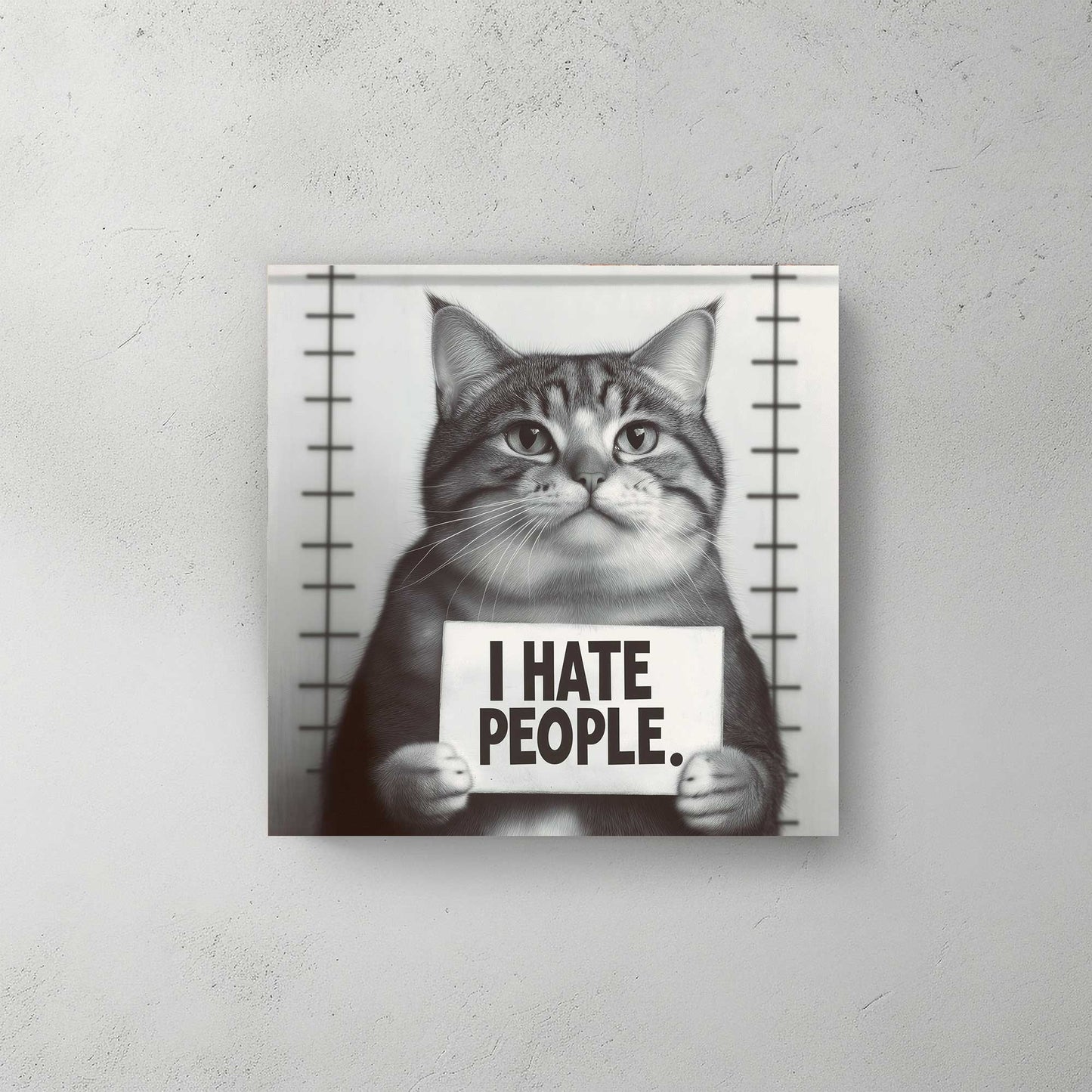 I Hate People Cat #1414 Canvas Wall Art & Metal Prints