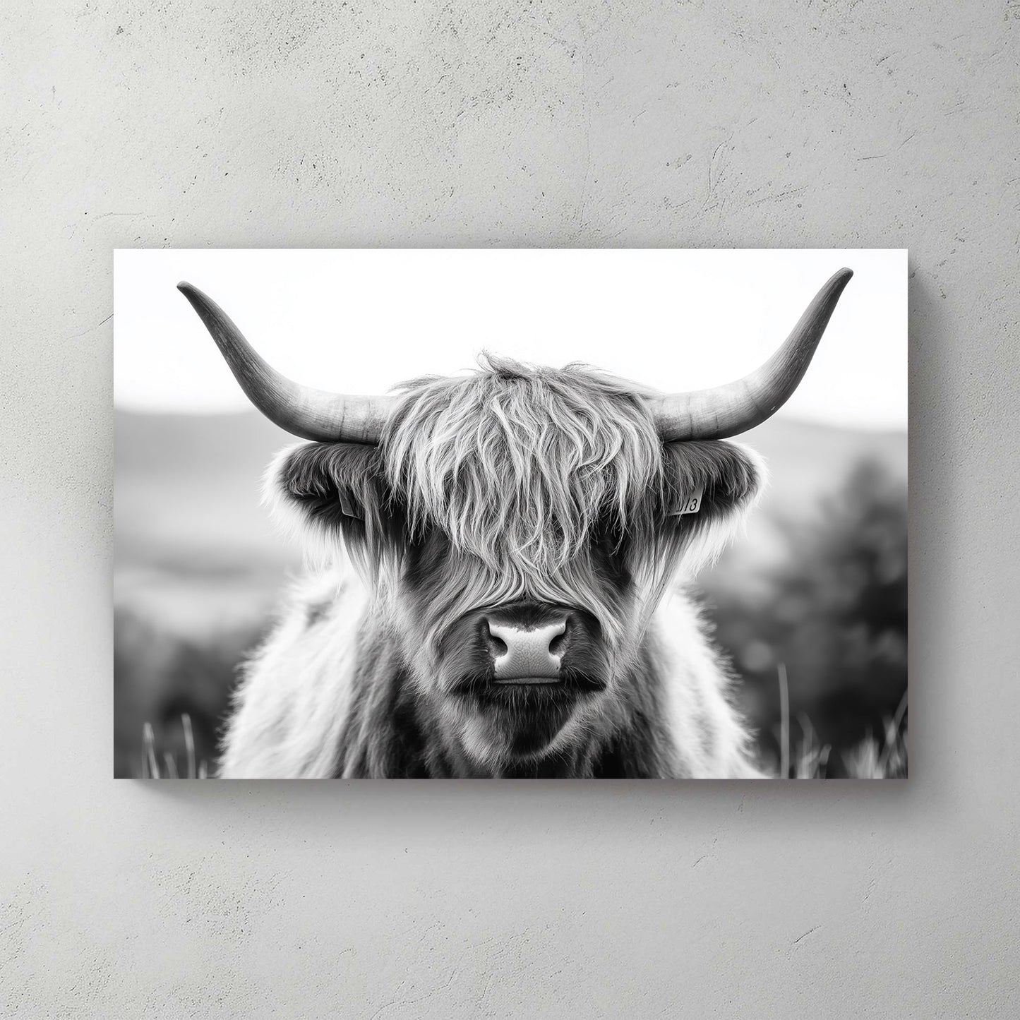 This black-and-white photograph captures the raw beauty of a Highland cow with its iconic shaggy coat. Perfect for modern decor. canvas wall art abstract portrait landscape