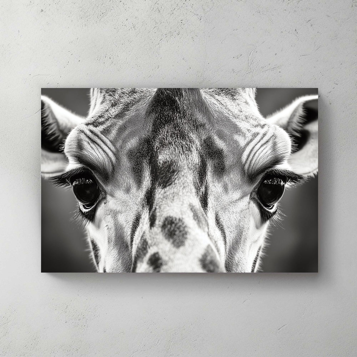 Black and white close-up portrait of a giraffe, focusing on its eyes and textured fur.