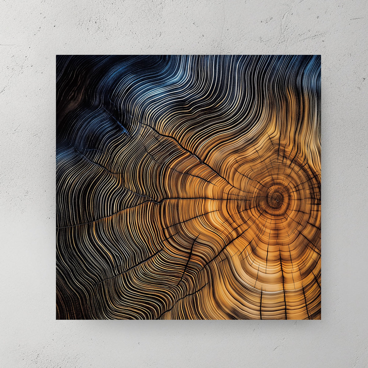 Close-up of a tree cross-section with detailed growth rings in warm golden and deep blue tones.