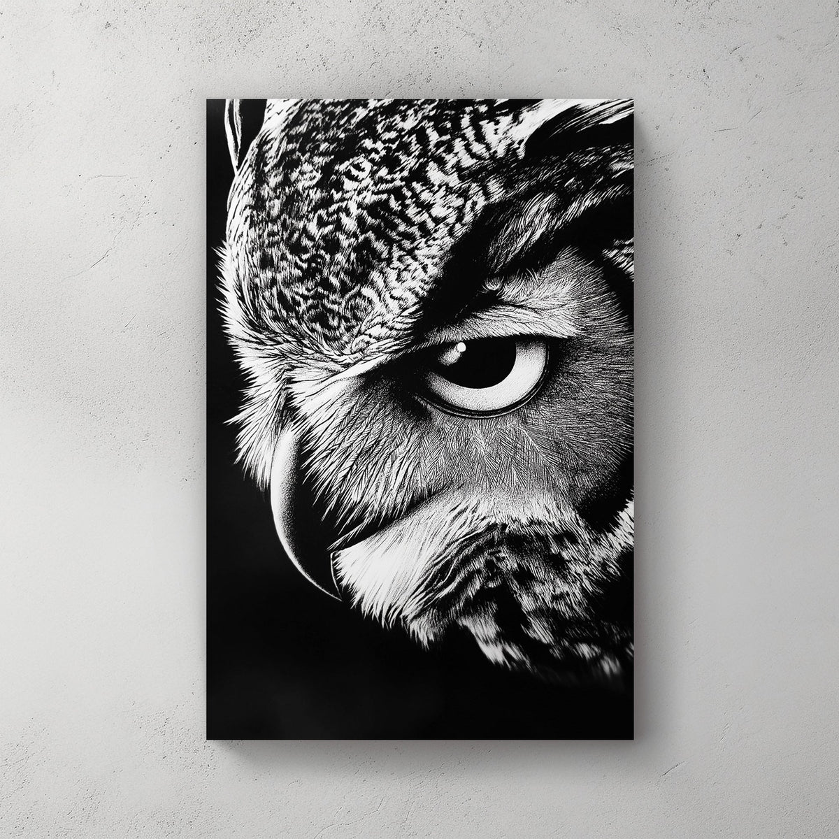 High-contrast black and white owl close-up wall art with intense gaze.