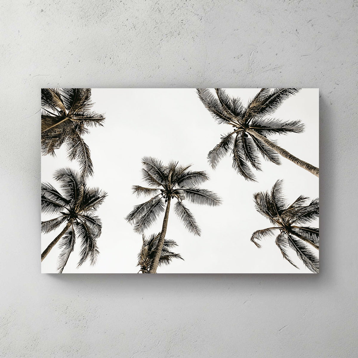 Minimalist palm tree wall art with a tropical skyward view.