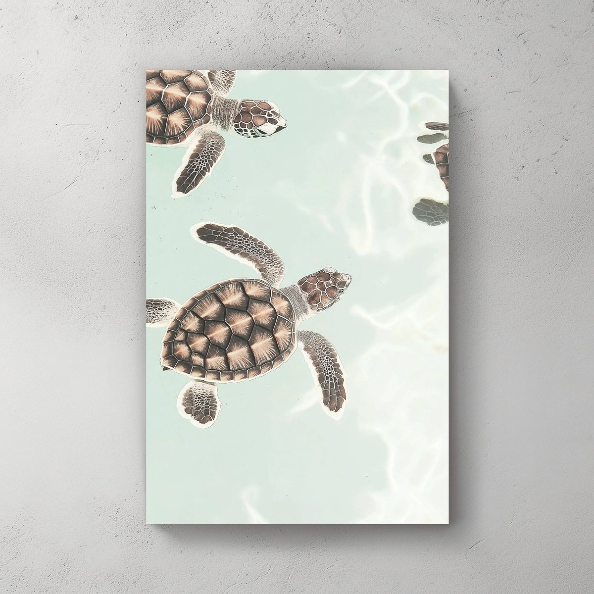 Minimalist sea turtle wall art floating in pastel ocean water