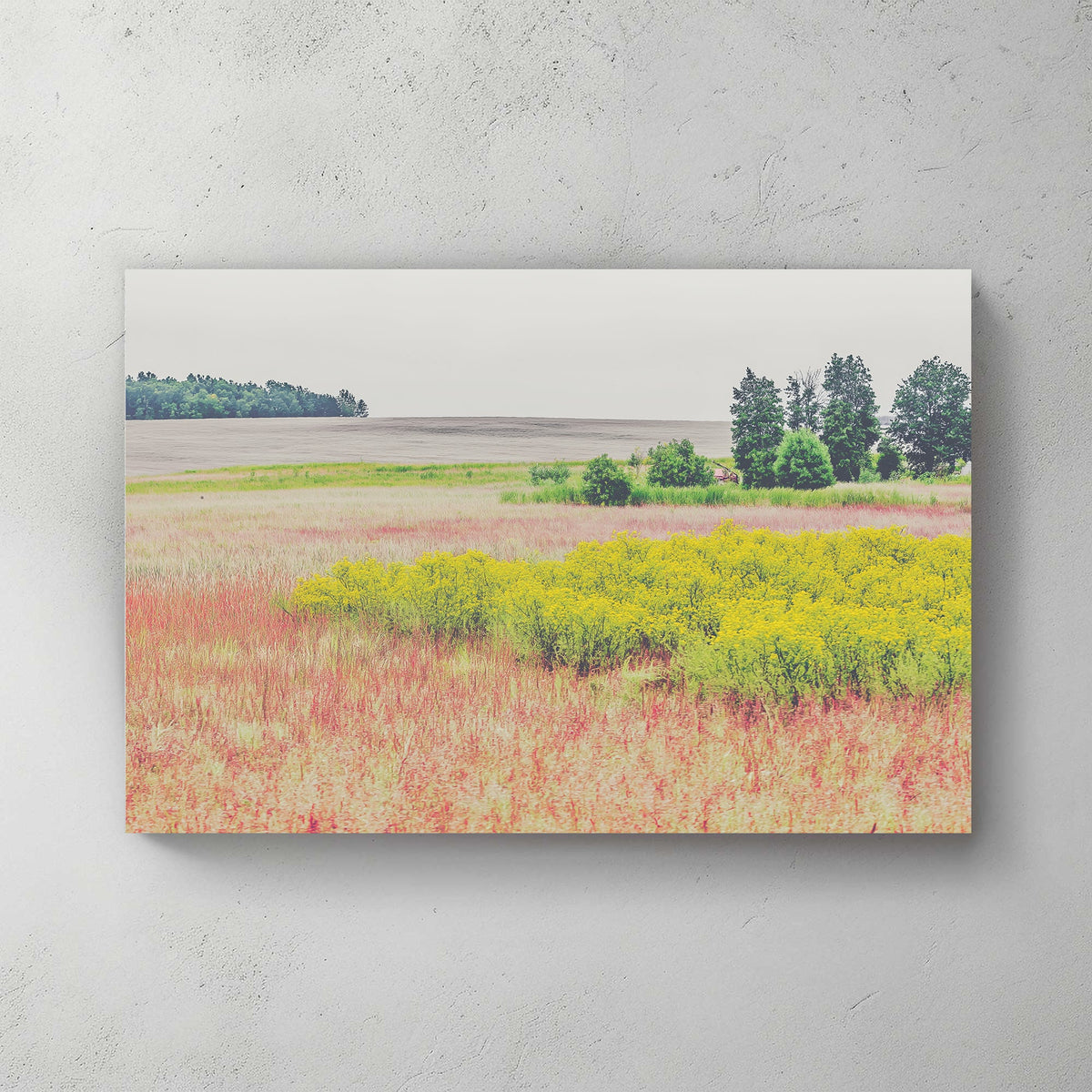 Wall art of a colourful prairie landscape with yellow wildflowers and open fields