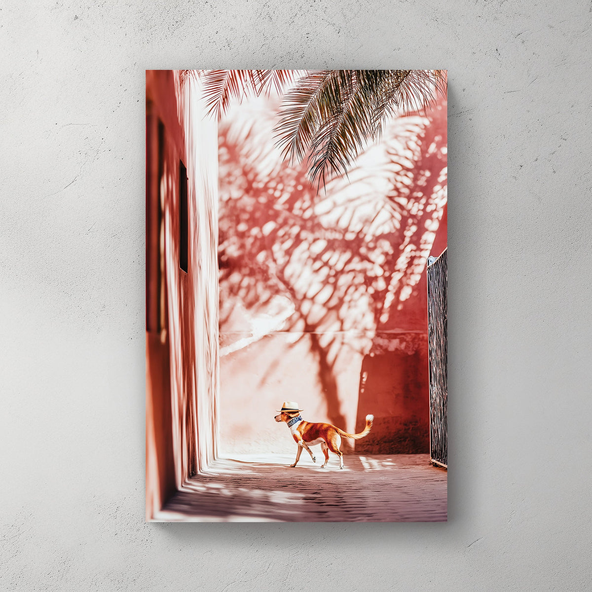 Stylish dog wearing a hat walking through a sunlit alley with palm shadows on pink walls