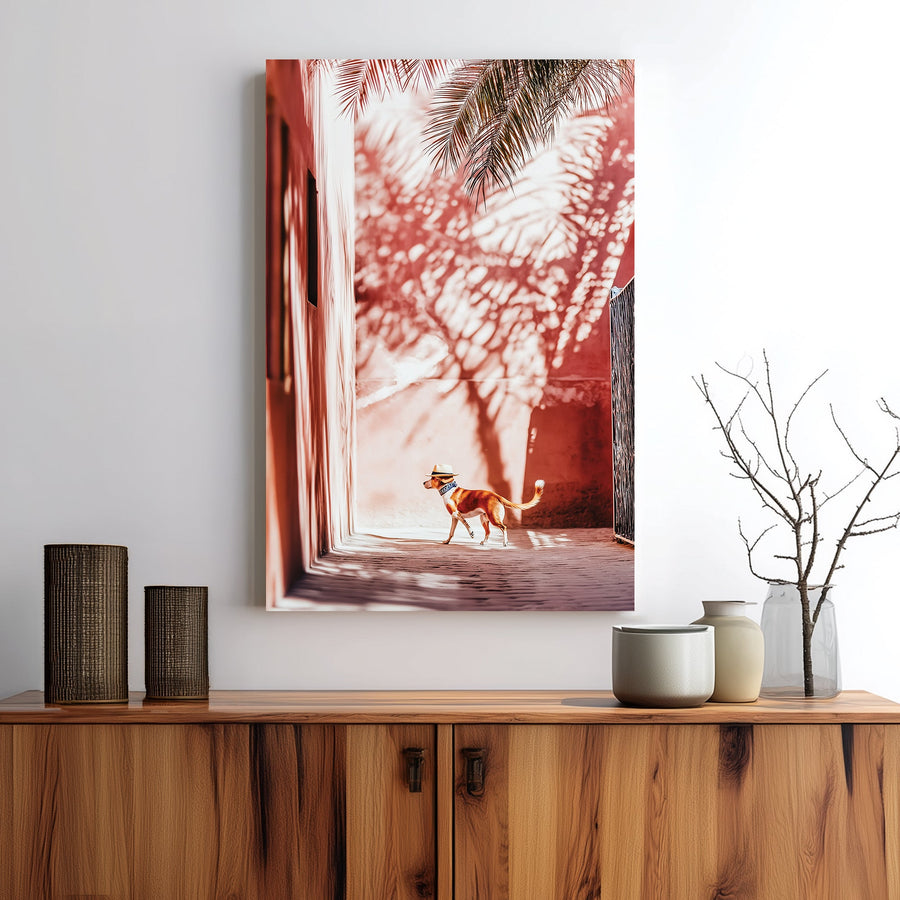 Stylish dog wearing a hat walking through a sunlit alley with palm shadows on pink walls