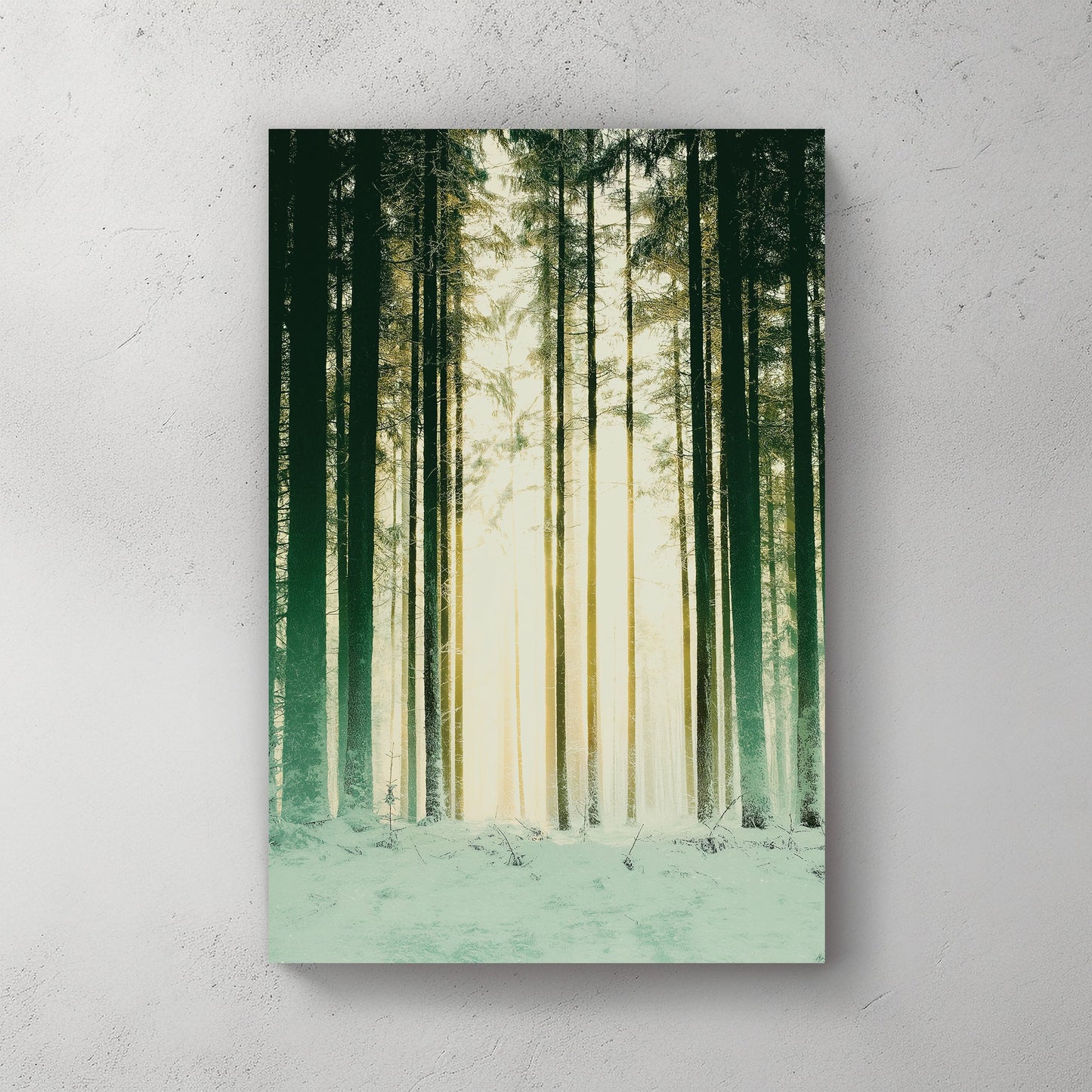 snowy forest with sunlight through pine trees wall art