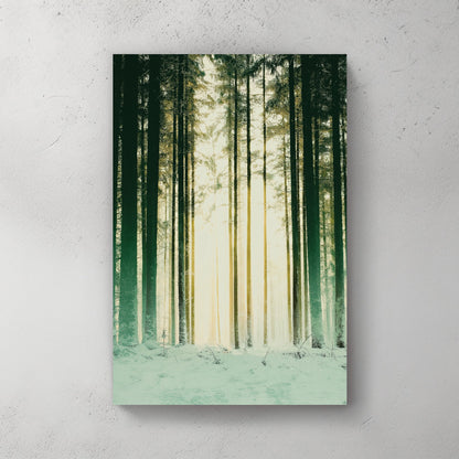 snowy forest with sunlight through pine trees wall art