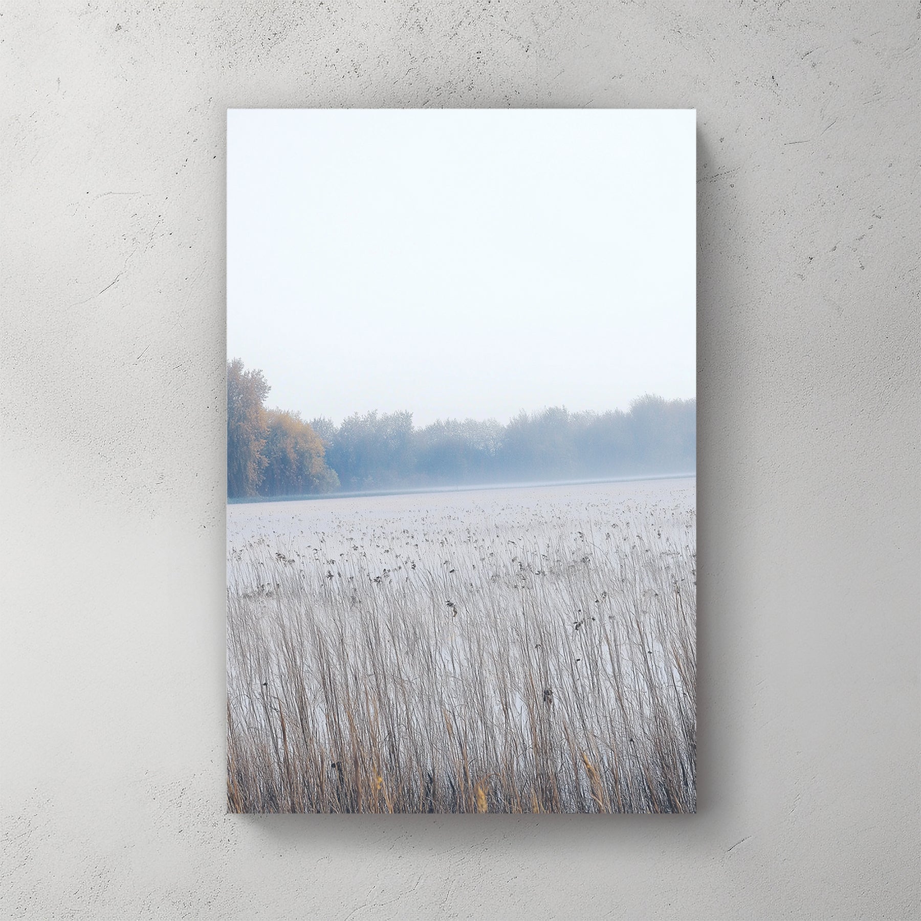 foggy winter field with dry reeds and tree line in minimal wall art style