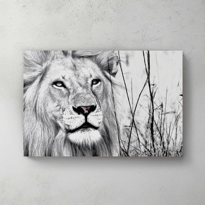 black and white lion wall art with intense gaze