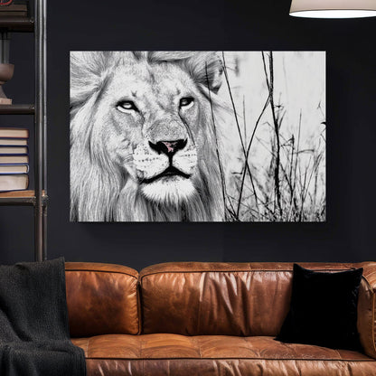 black and white lion wall art with intense gaze