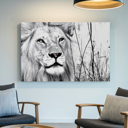 black and white lion wall art with intense gaze