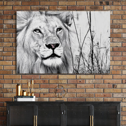 black and white lion wall art with intense gaze