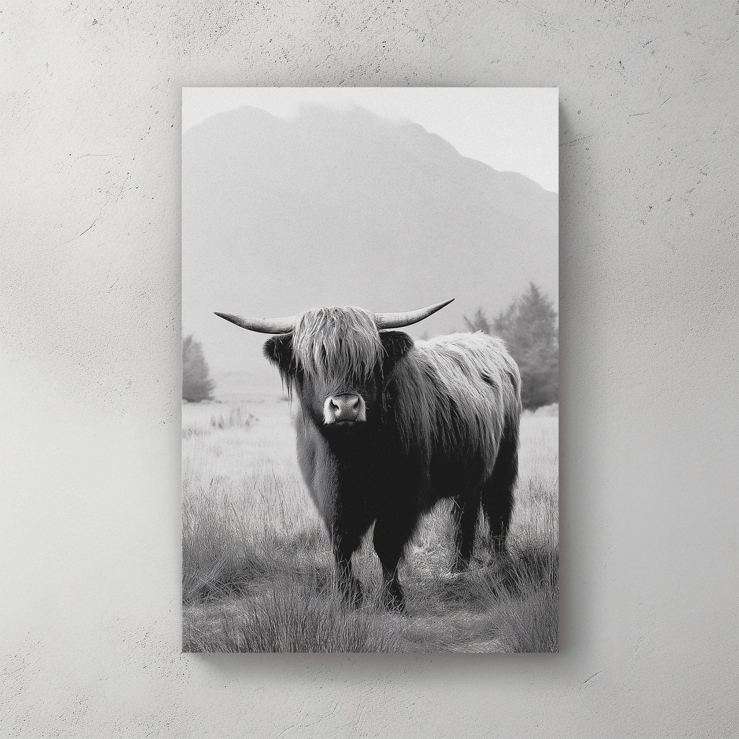 black and white highland cow photograph in front of misty mountain