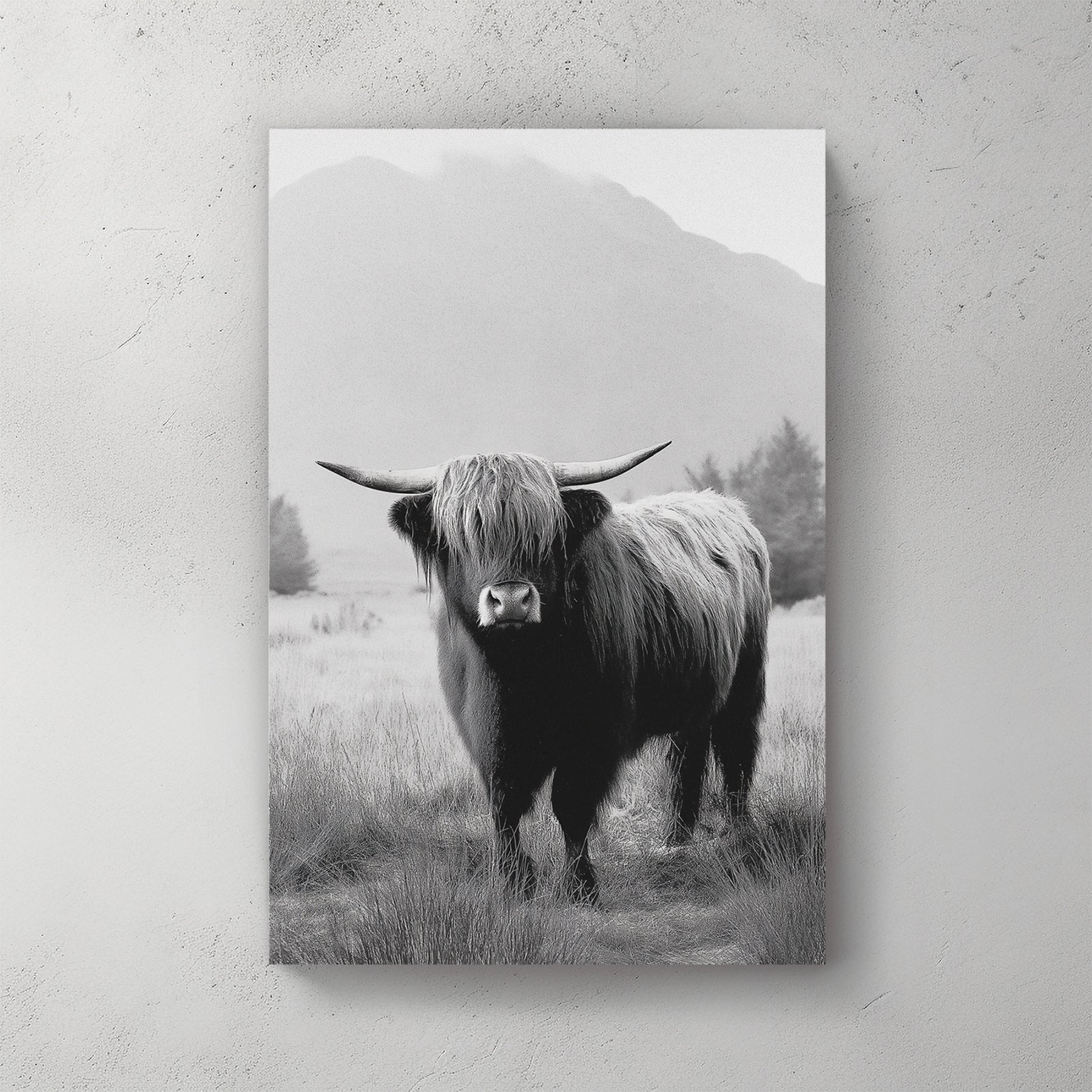 black and white highland cow photograph in front of misty mountain