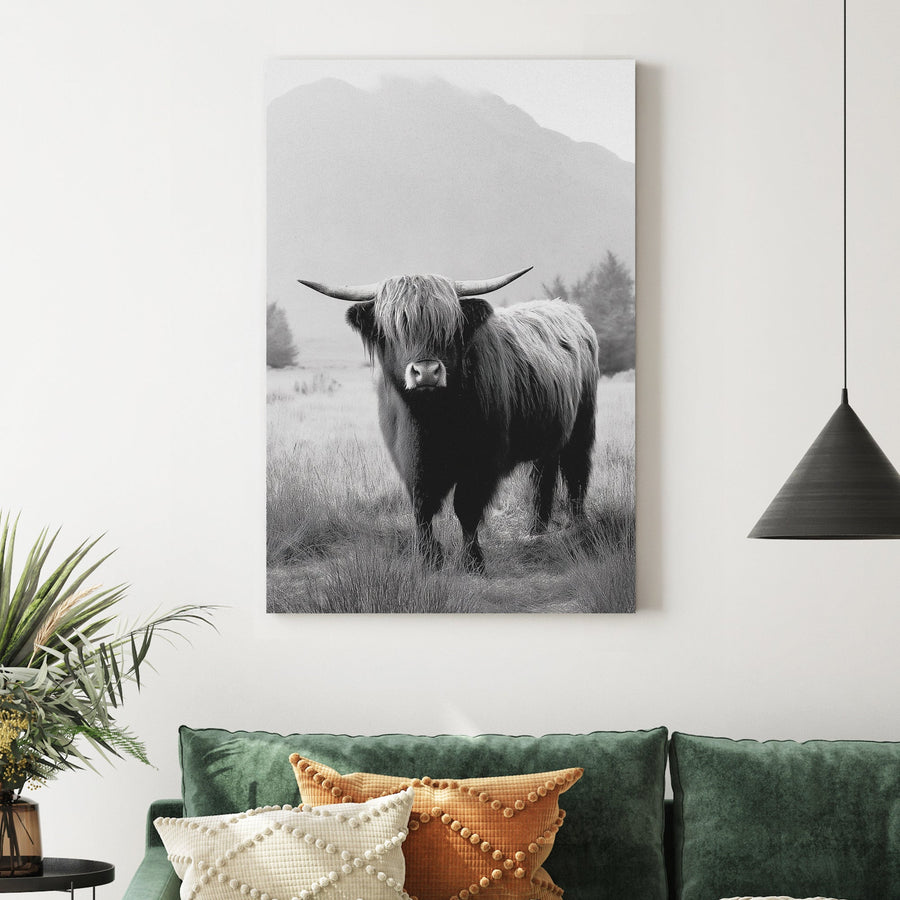 black and white highland cow photograph in front of misty mountain