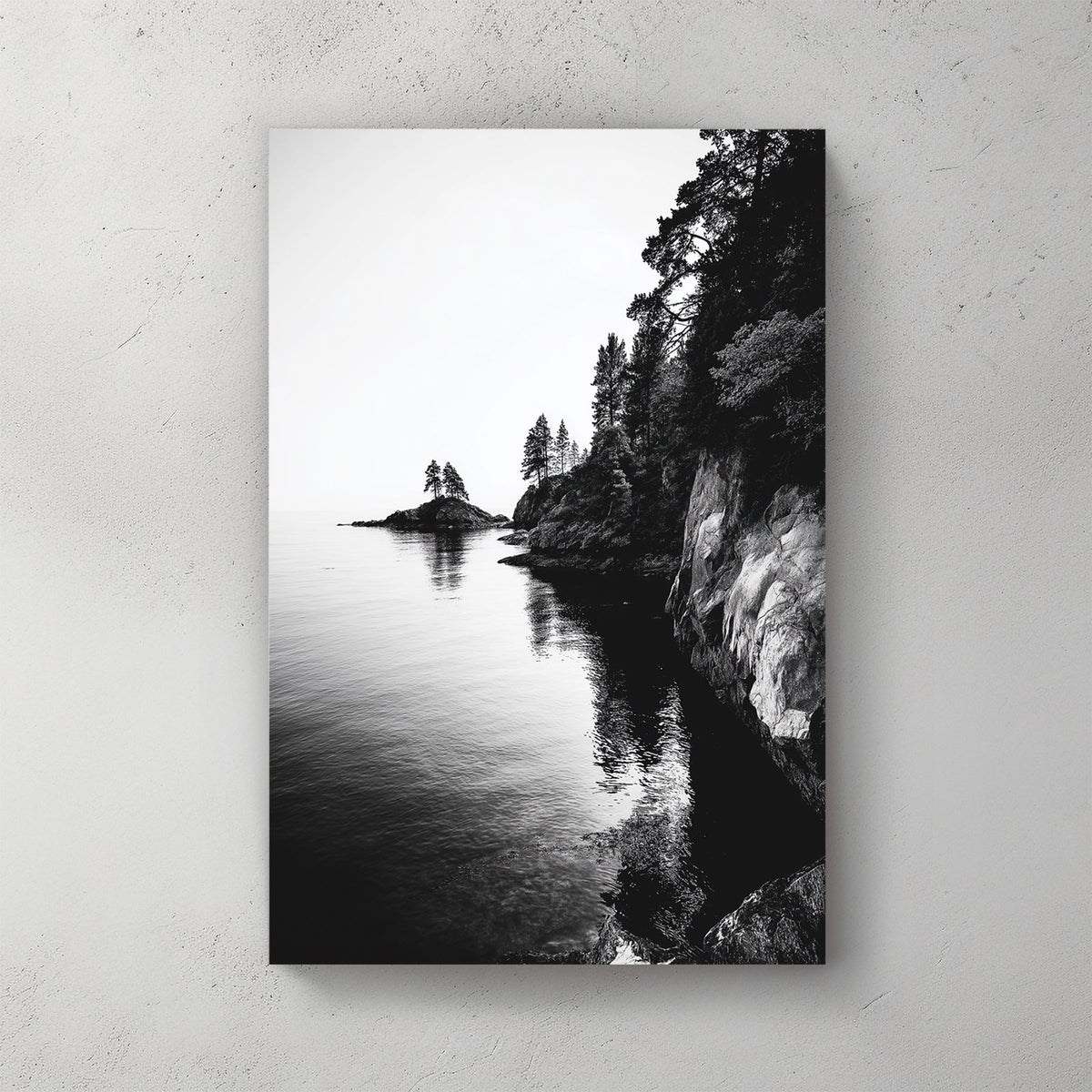 black and white rocky coastline with trees and ocean reflections
