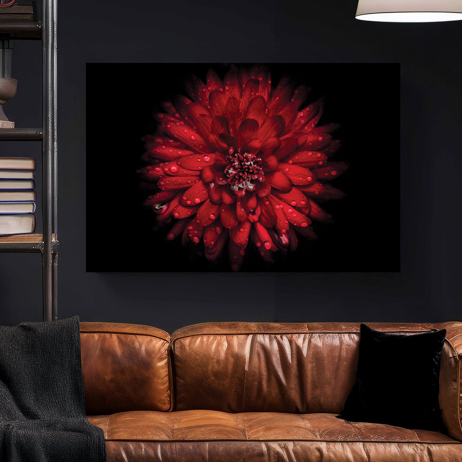 Close-up of red chrysanthemum flower with water droplets on petals against black background