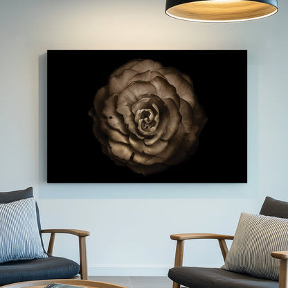 Sepia-toned close-up of a rose-like flower with curled petals on black background
