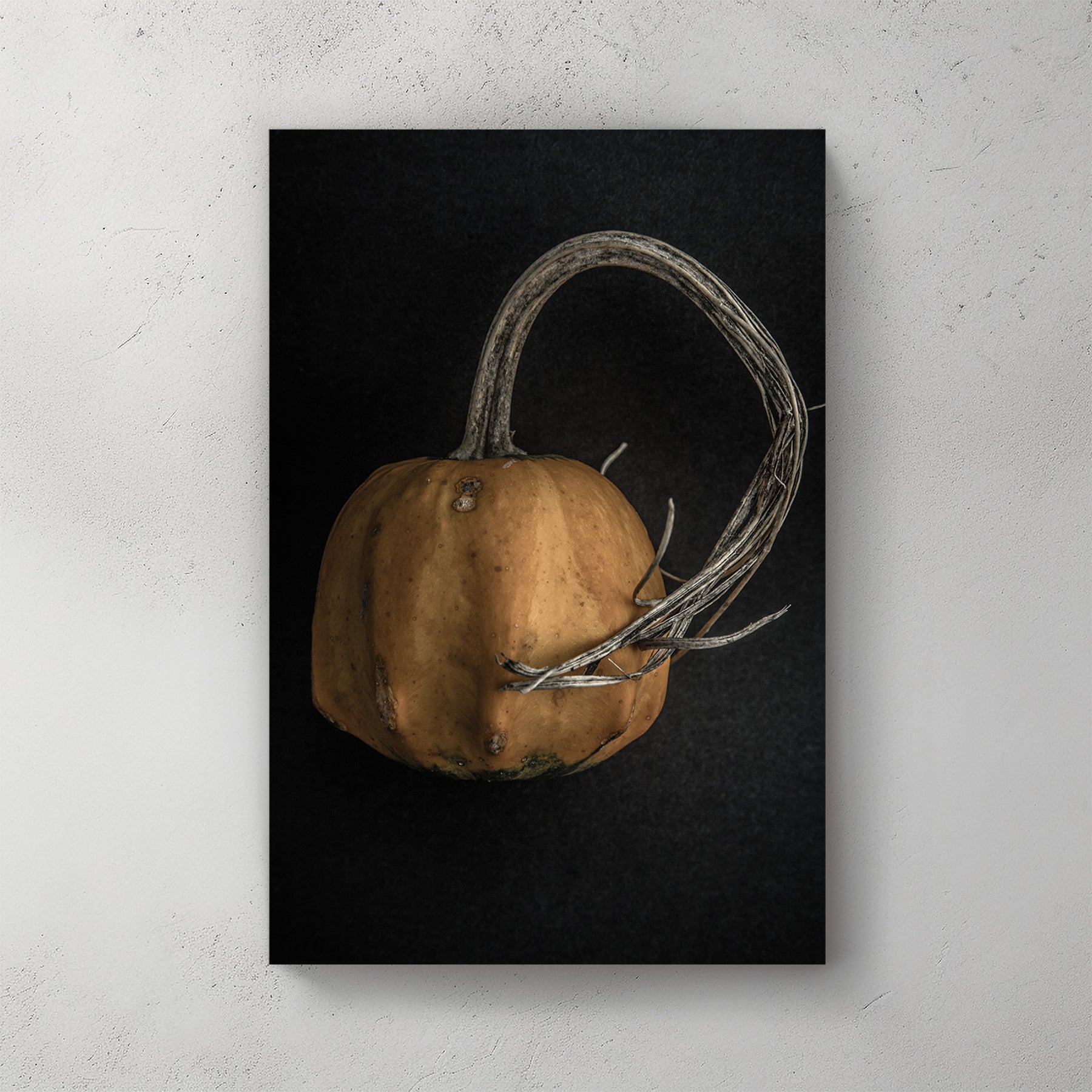 close-up of orange gourd with twisted stem on black background