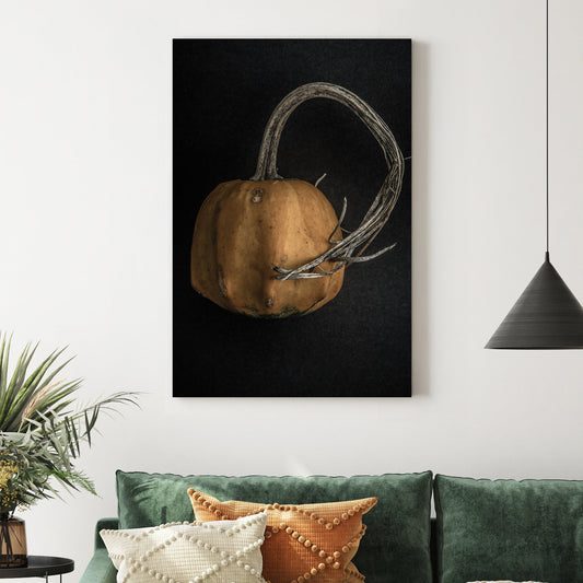 close-up of orange gourd with twisted stem on black background