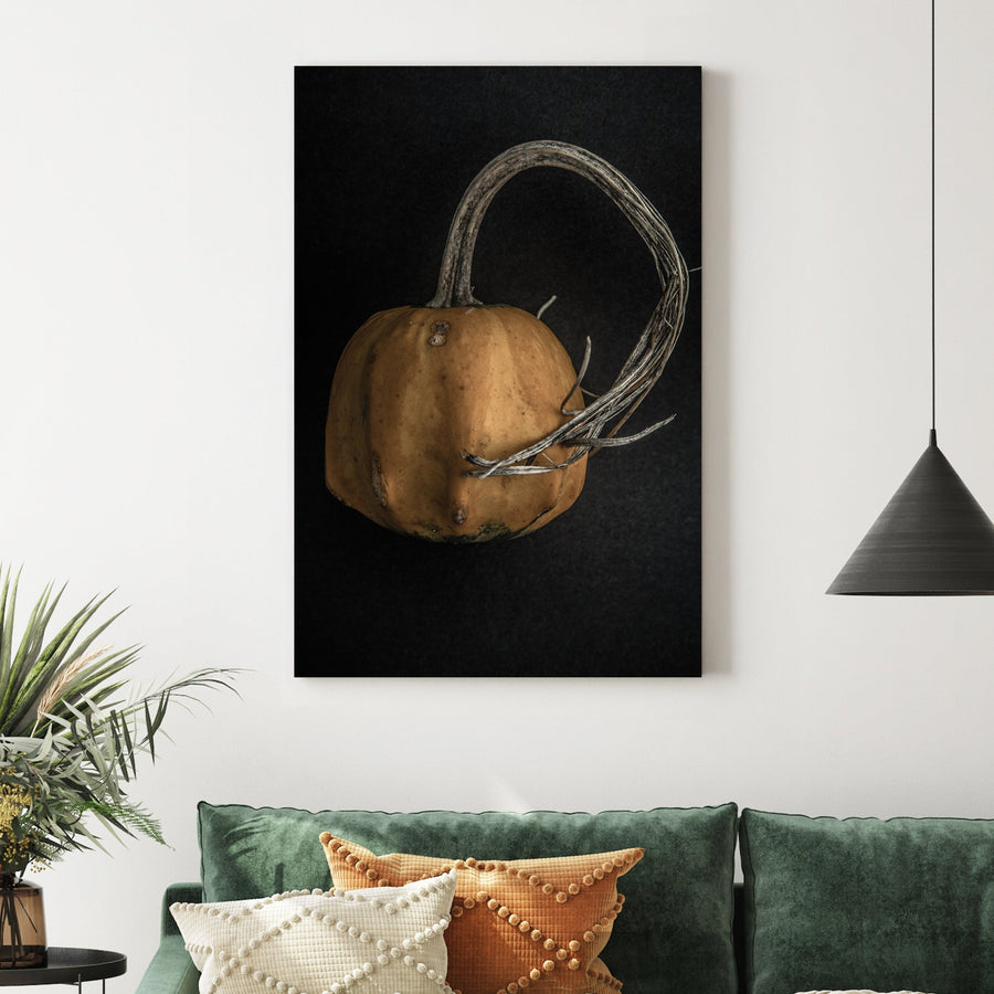 close-up of orange gourd with twisted stem on black background