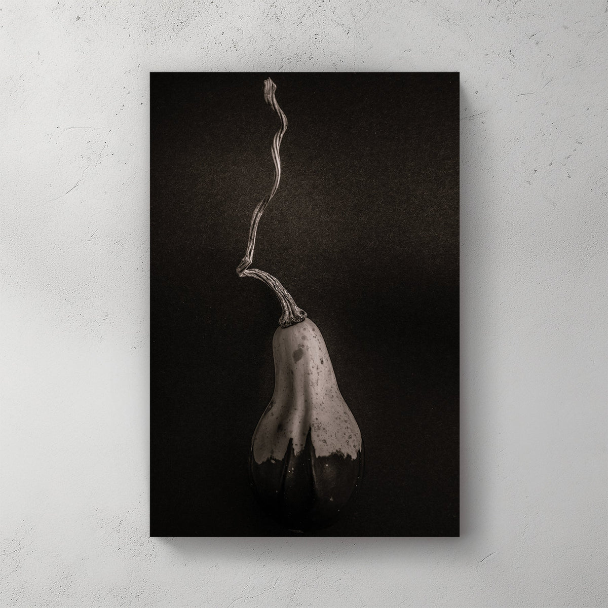 minimalist black and white gourd with long twisted stem