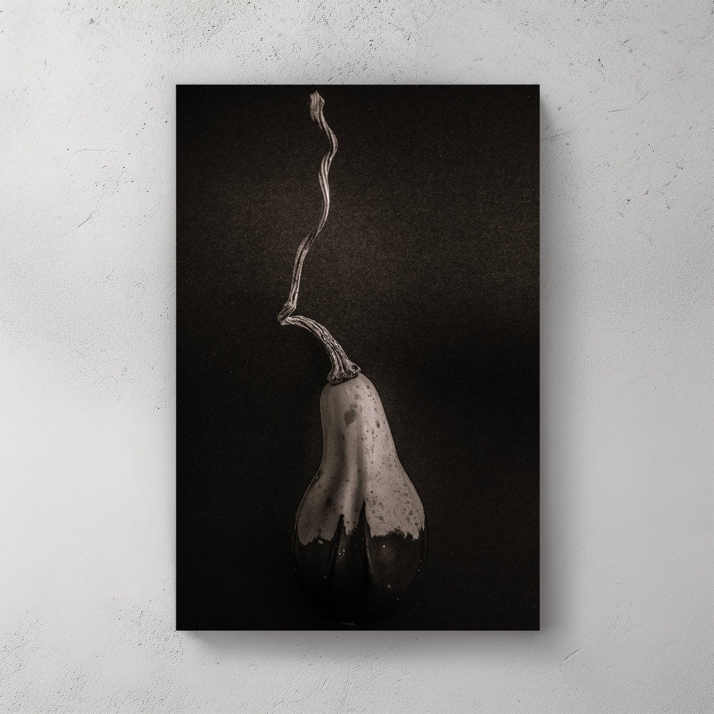 minimalist black and white gourd with long twisted stem