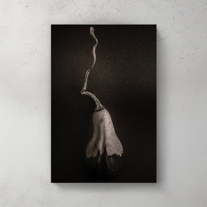 minimalist black and white gourd with long twisted stem