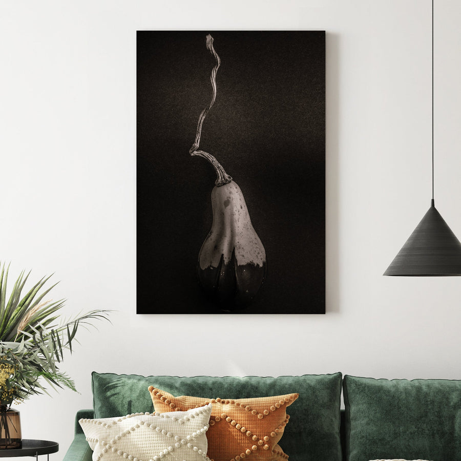 minimalist black and white gourd with long twisted stem