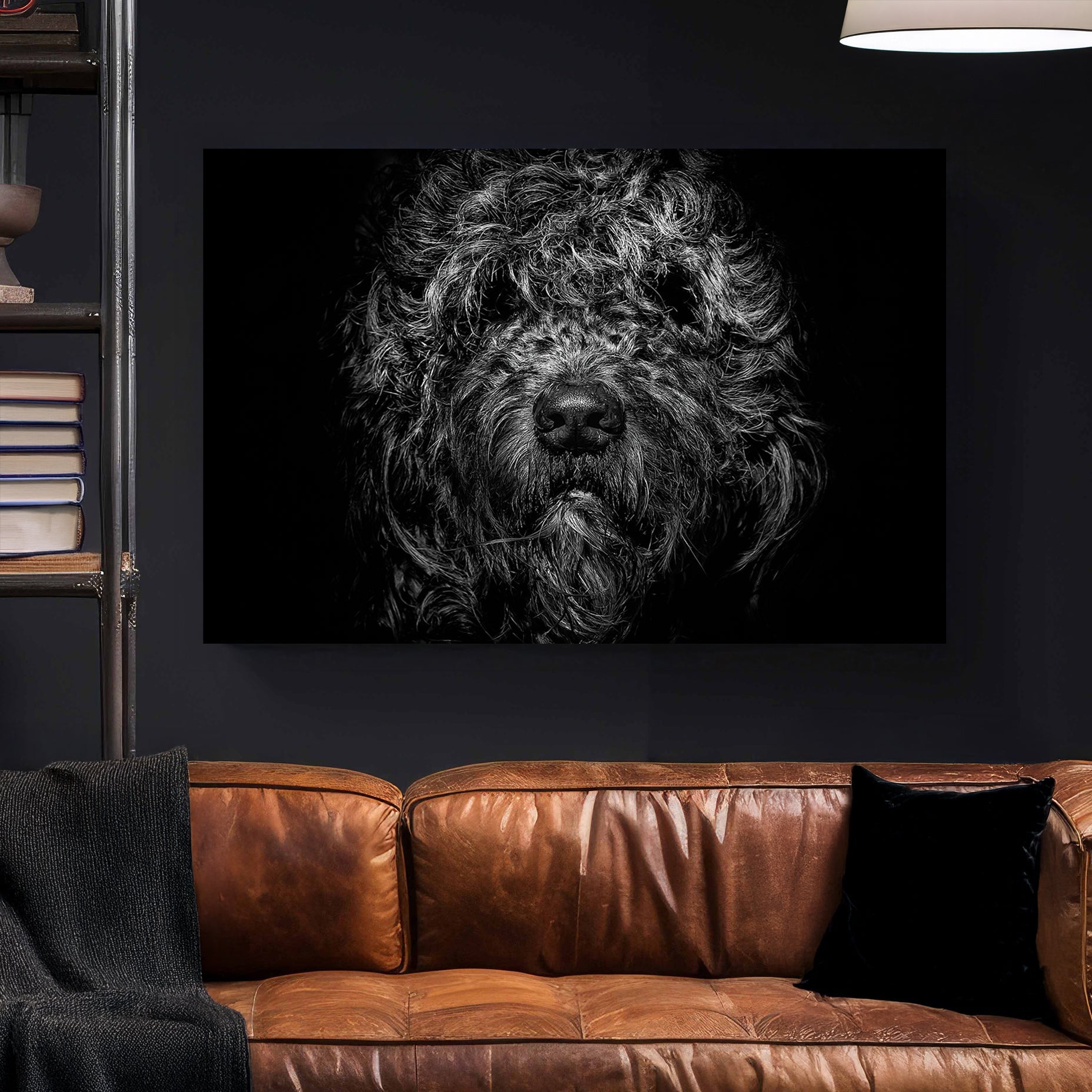 black and white shaggy dog close-up with dramatic lighting