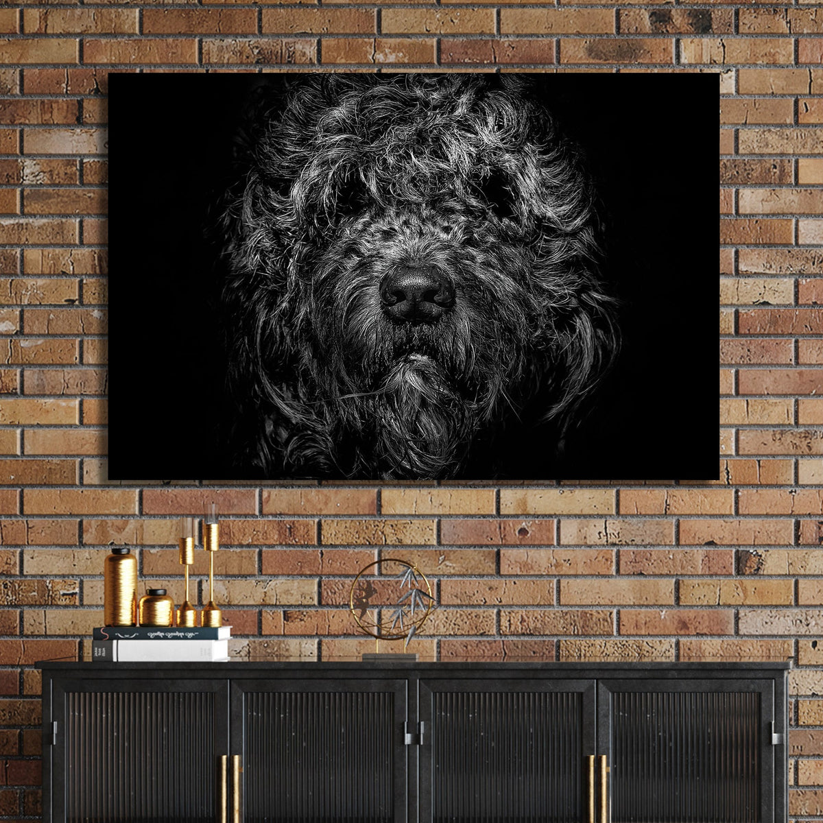 black and white shaggy dog close-up with dramatic lighting