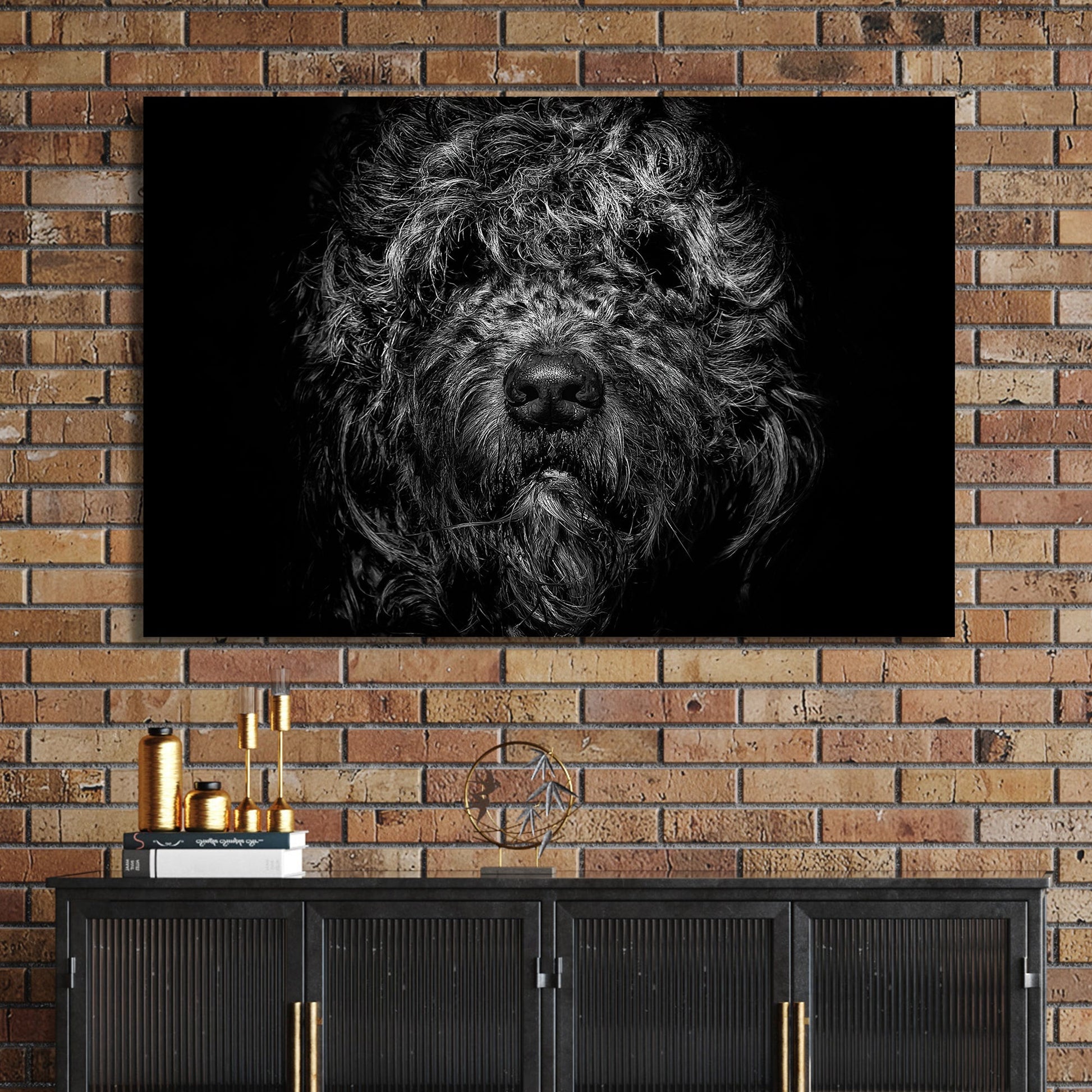 black and white shaggy dog close-up with dramatic lighting