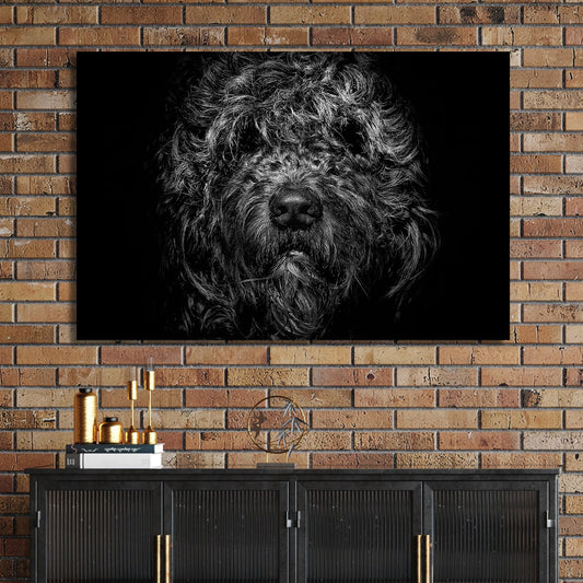 black and white shaggy dog close-up with dramatic lighting