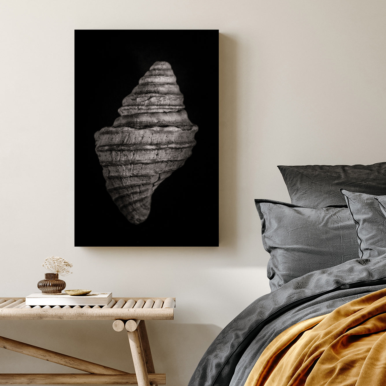 black and white photo of spiral seashell with textured detail