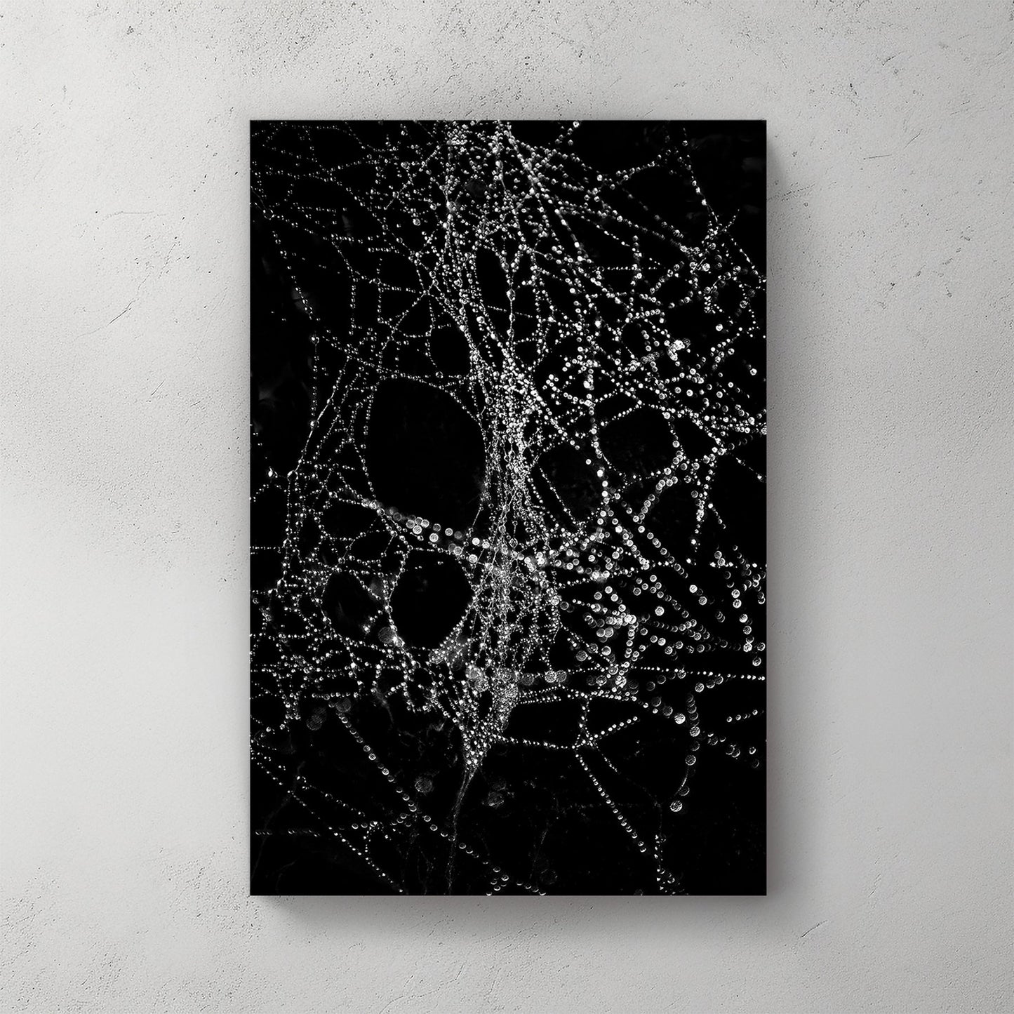 black and white photo of spiderweb covered in dew droplets