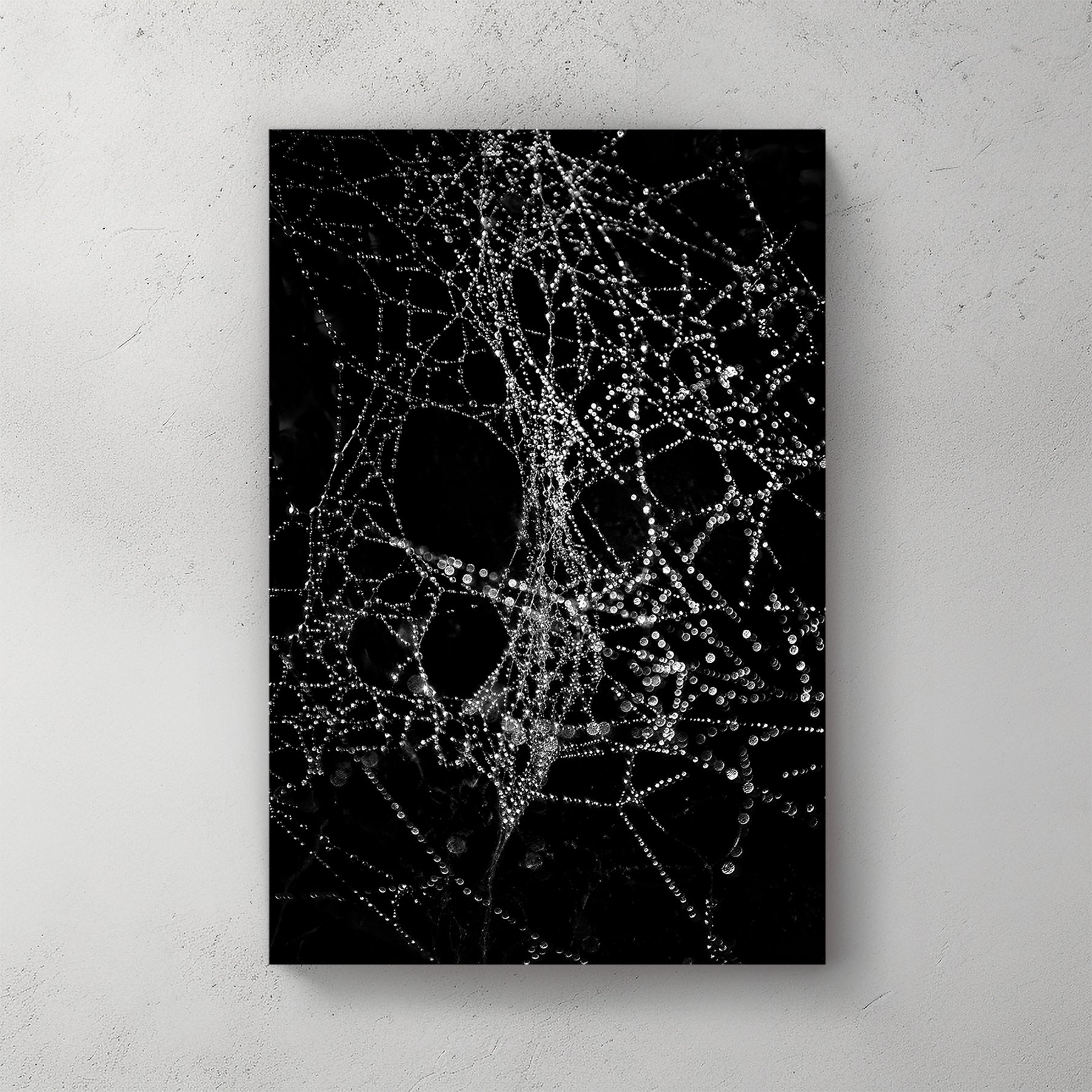 black and white photo of spiderweb covered in dew droplets