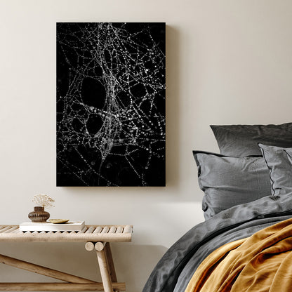 black and white photo of spiderweb covered in dew droplets