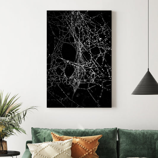 black and white photo of spiderweb covered in dew droplets