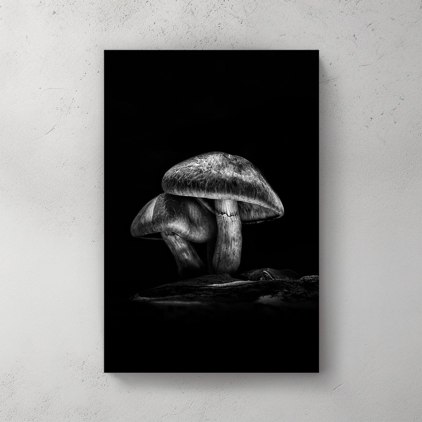 black and white mushroom wall art with dramatic forest lighting