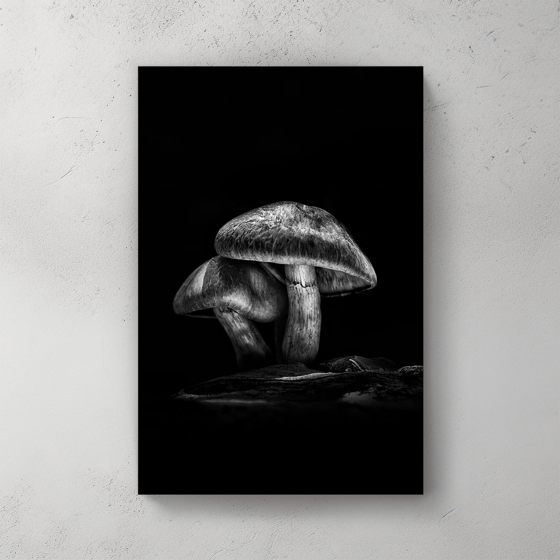 black and white mushroom wall art with dramatic forest lighting