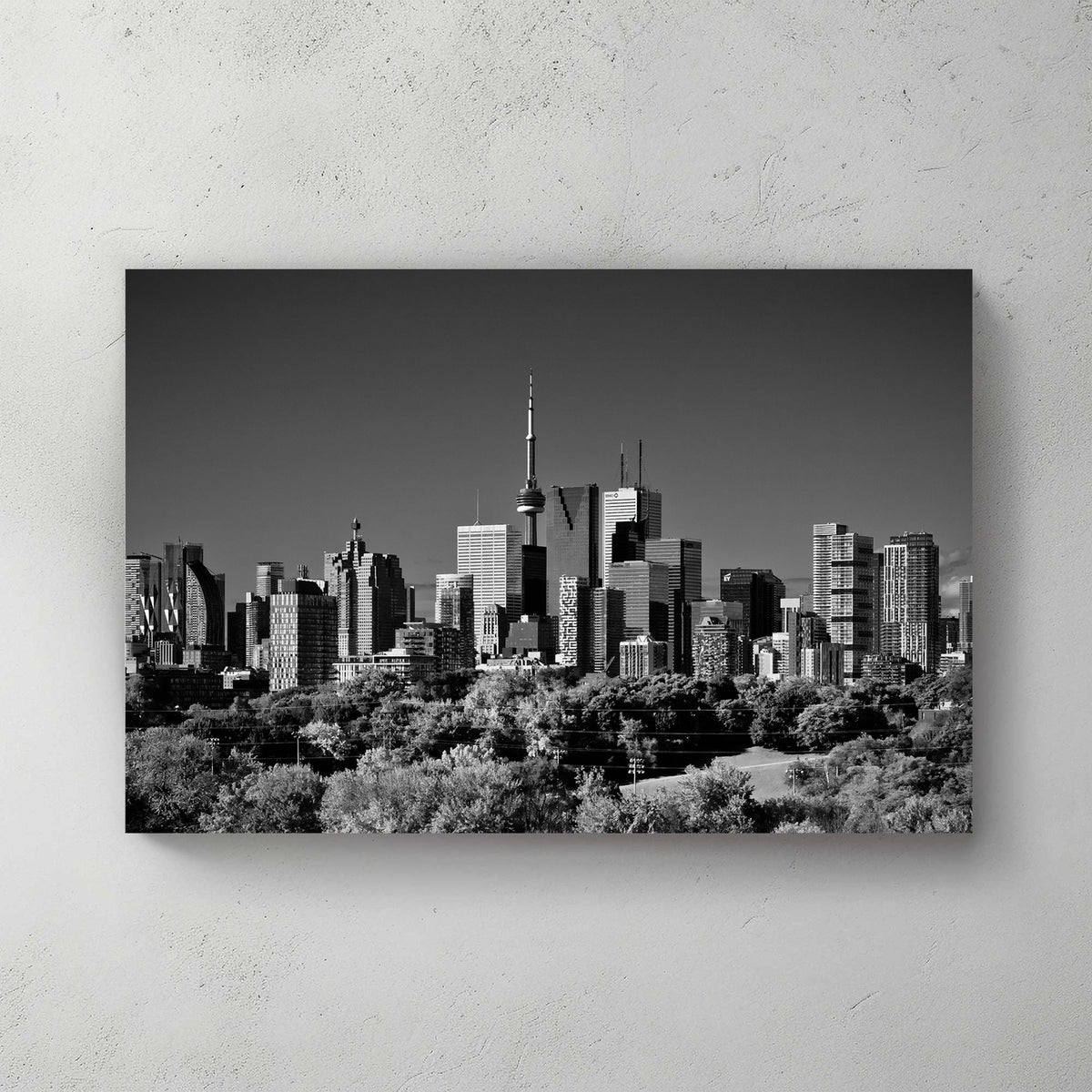 black and white toronto skyline wall art from riverdale park